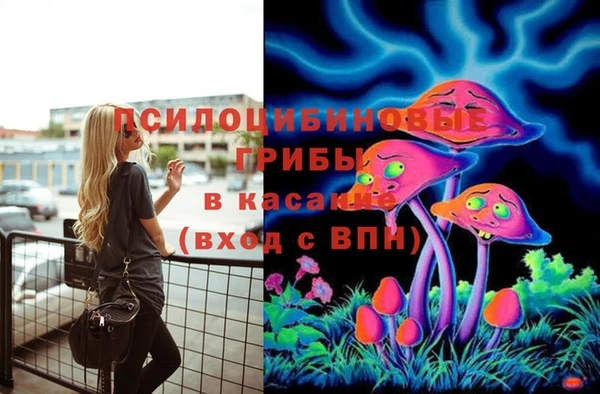 ГАЛЛЮЦИНОГЕННЫЕ ГРИБЫ Армянск