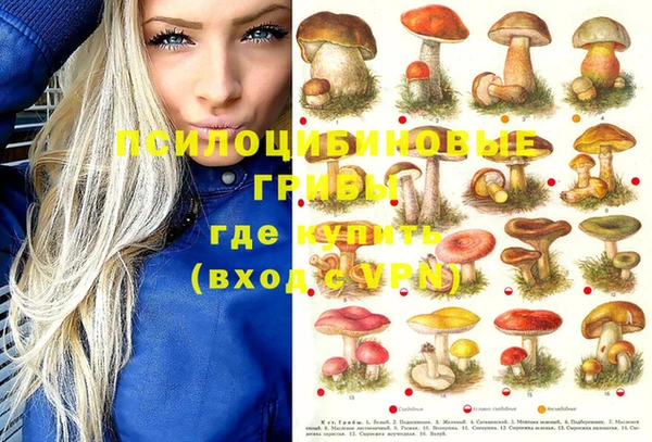 ГАЛЛЮЦИНОГЕННЫЕ ГРИБЫ Армянск